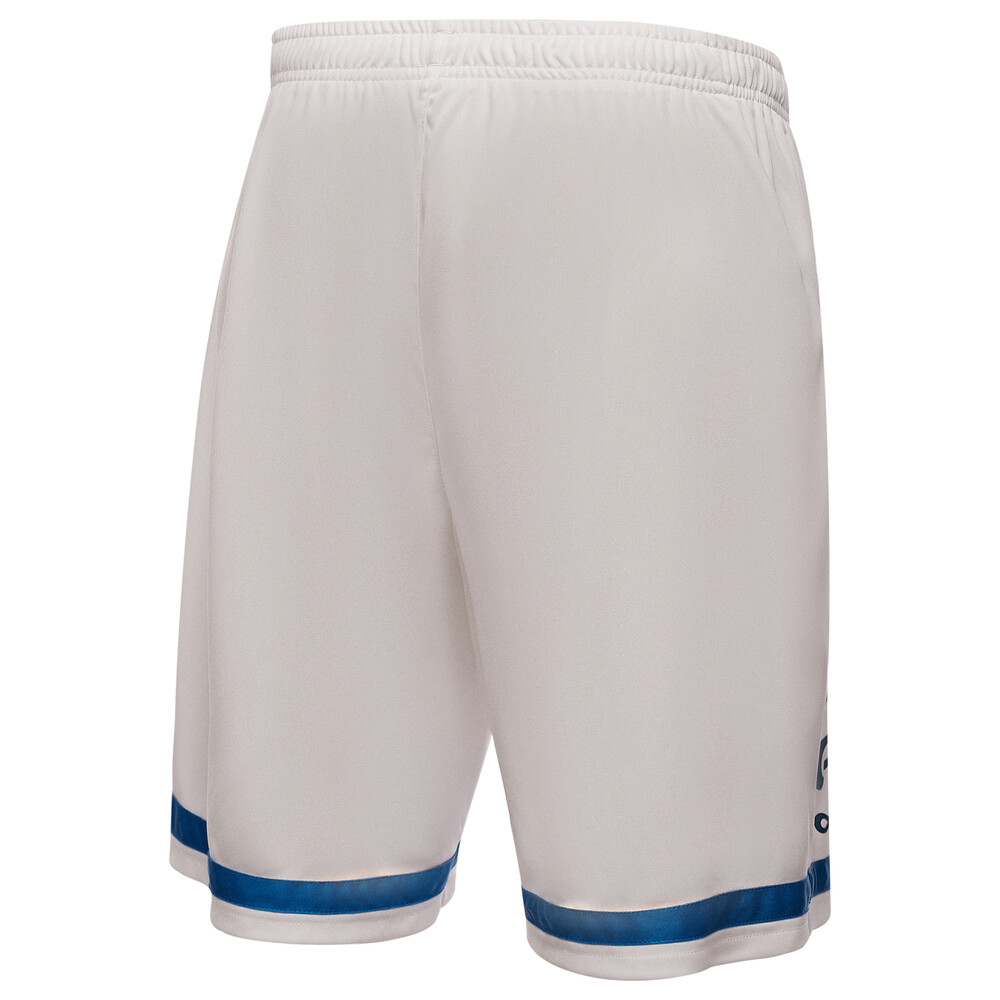 фото Шорты fc dynamo football men’s shorts puma