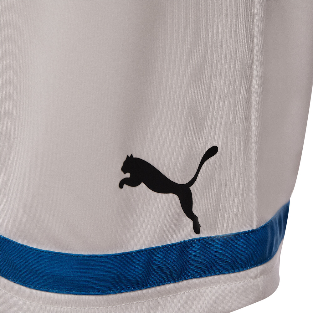 фото Шорты fc dynamo football men’s shorts puma