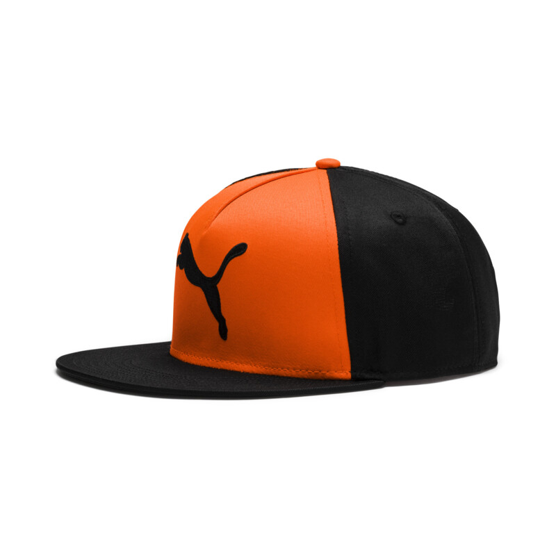 

PUMA ftblNXT Cap