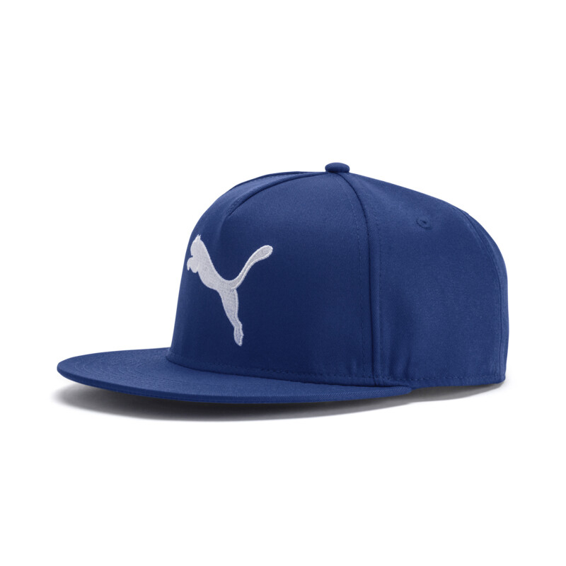 

PUMA ftblNXT Cap