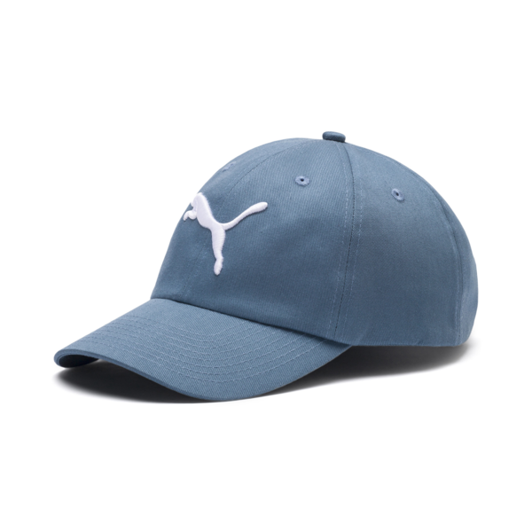 Essentials Cap, Bluestone-Big Cat, large-ZAF