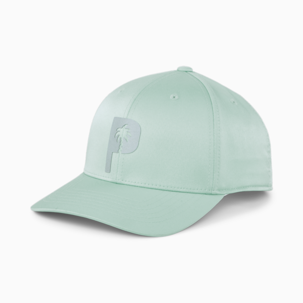 PUMA x Palm Tree Crew Golf Cap Men, AQUA GREEN, large-ZAF