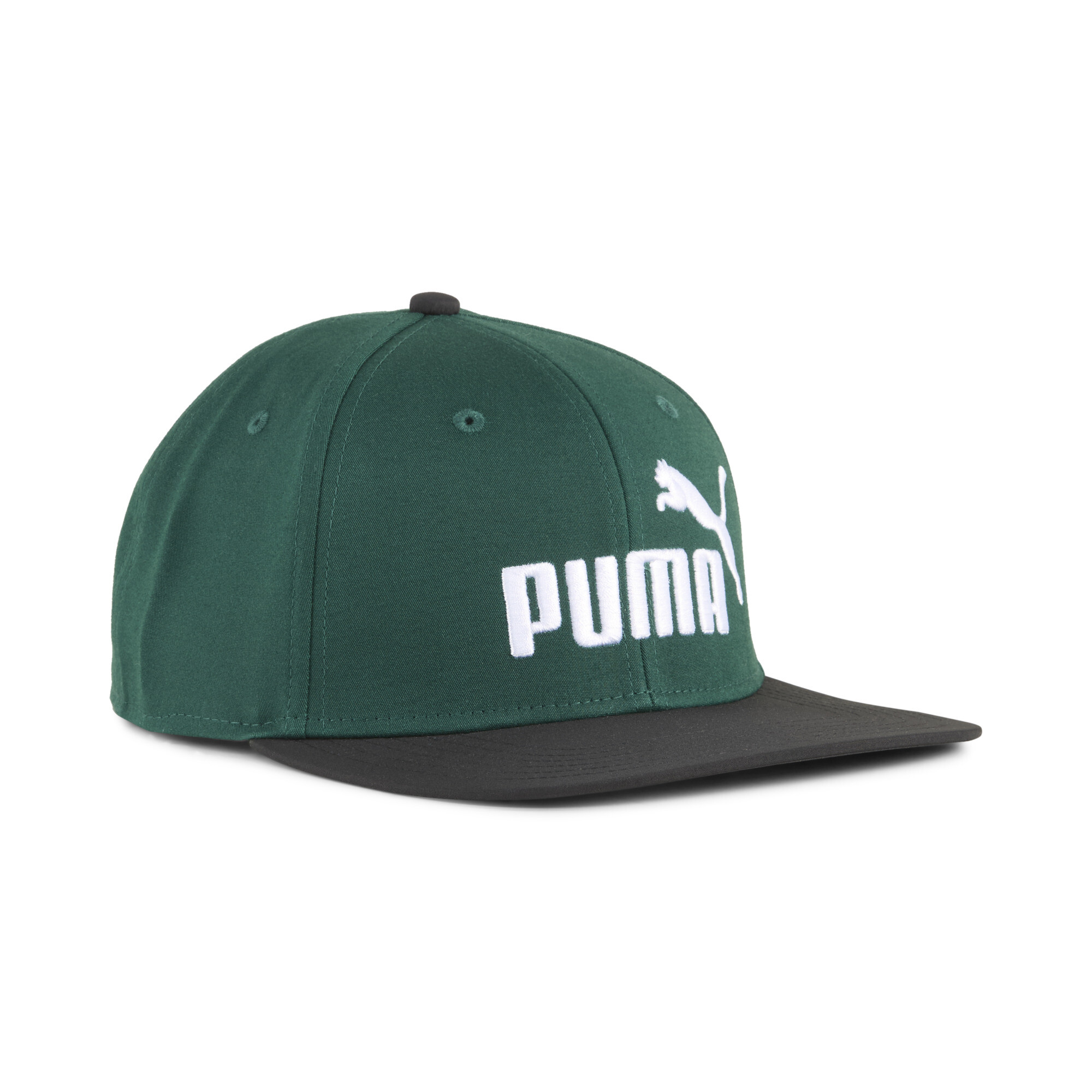 Puma ESS No. 1 Logo Cap mit flachem Schirm | Mit Plain | Black/Dark Myrtle