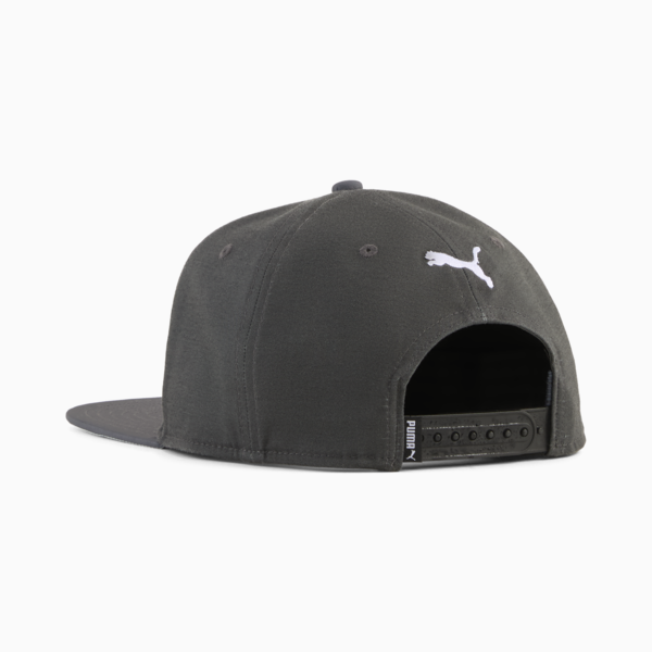 ESS No. 1 Logo Flat Brim Cap, Dusky Gray, large-MEX