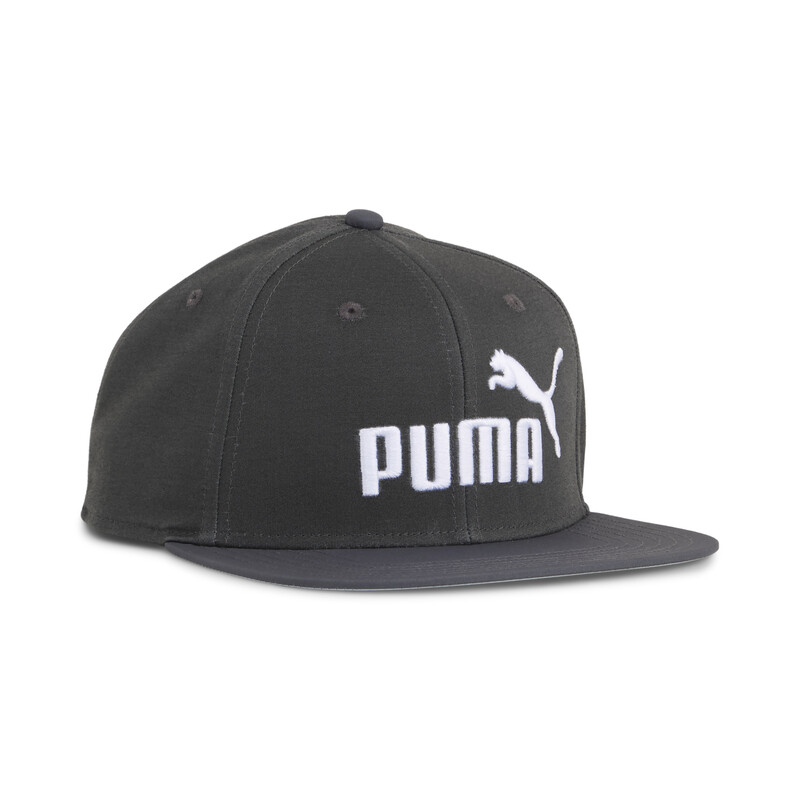 

PUMA Essential No. 1 Logo Flat Brim Cap
