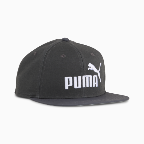 ESS No. 1 Logo Flat Brim Cap, Dusky Gray, large-MEX