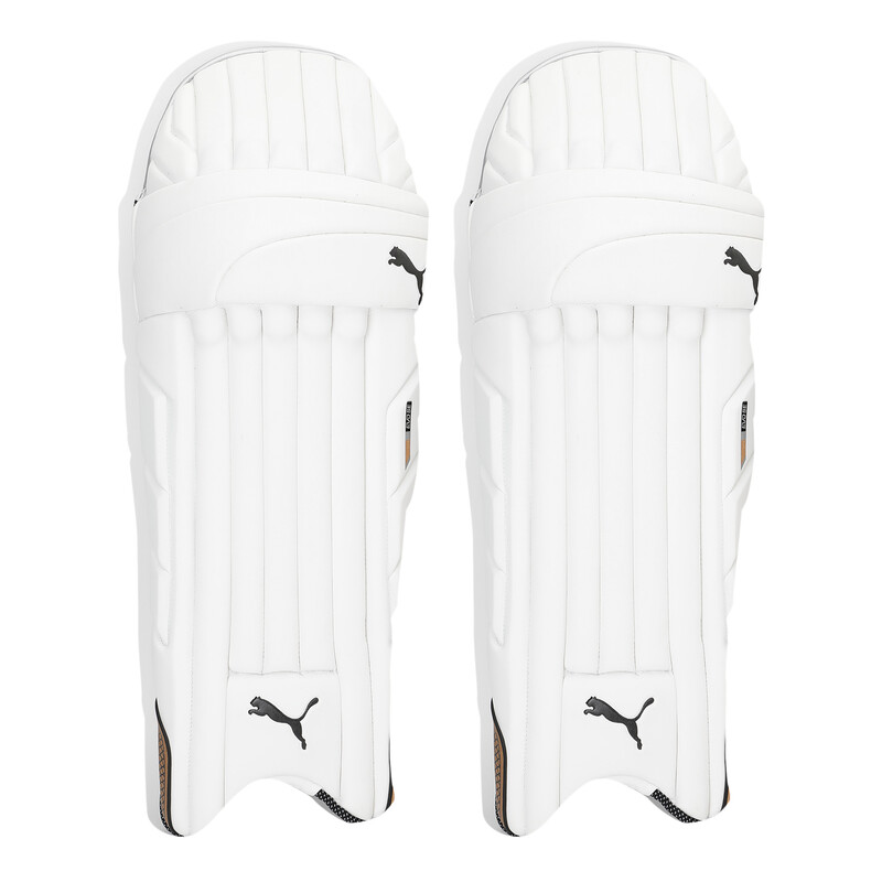 

PUMA EVO SE Cricket Batting Pad