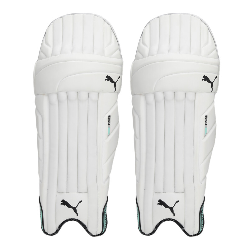 

PUMA EVO 2 Unisex Batting Pad