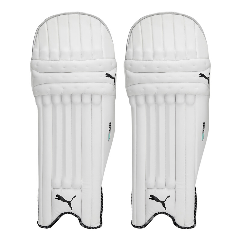 

PUMA EVO 3 Unisex Batting Pad, Gray/green