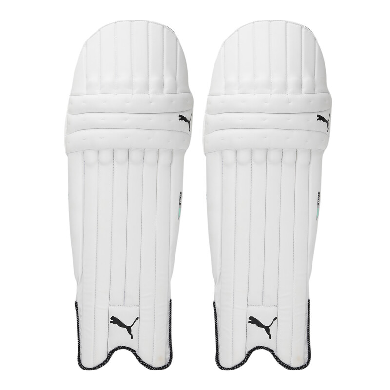

PUMA EVO 4 Batting Pad