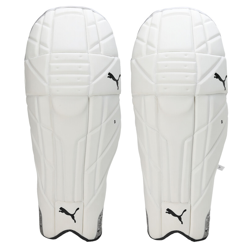 

Men's PUMA Future 2 Cricket Batting Pads