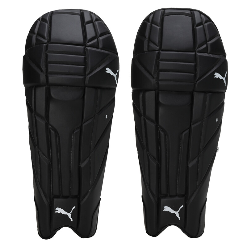 

Men's PUMA Future 2 Cricket Batting Pads