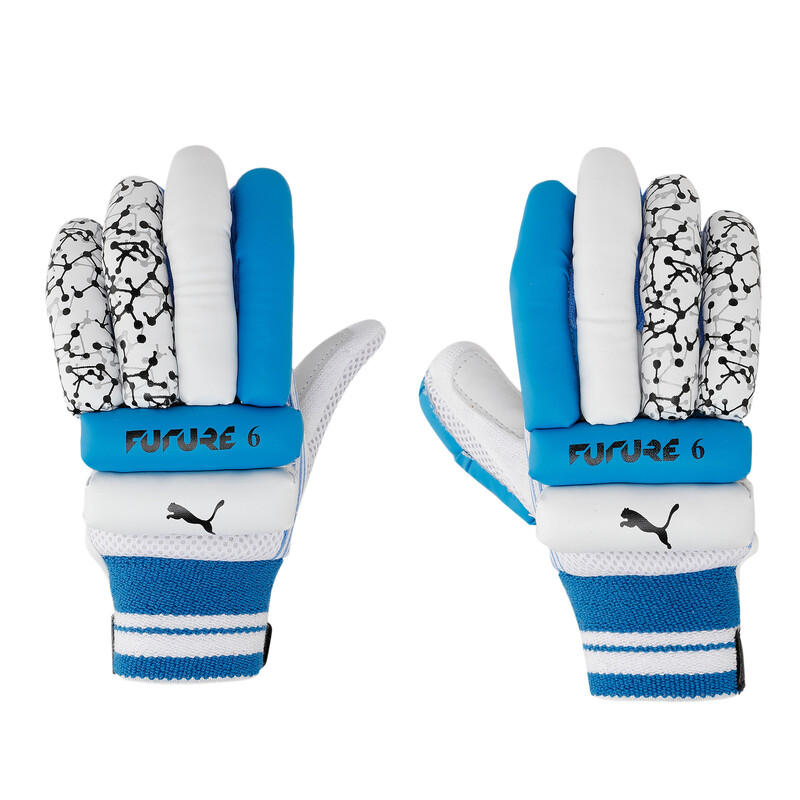 

PUMA Future 20.6 Cricket Batting Gloves, Black/silver/blue