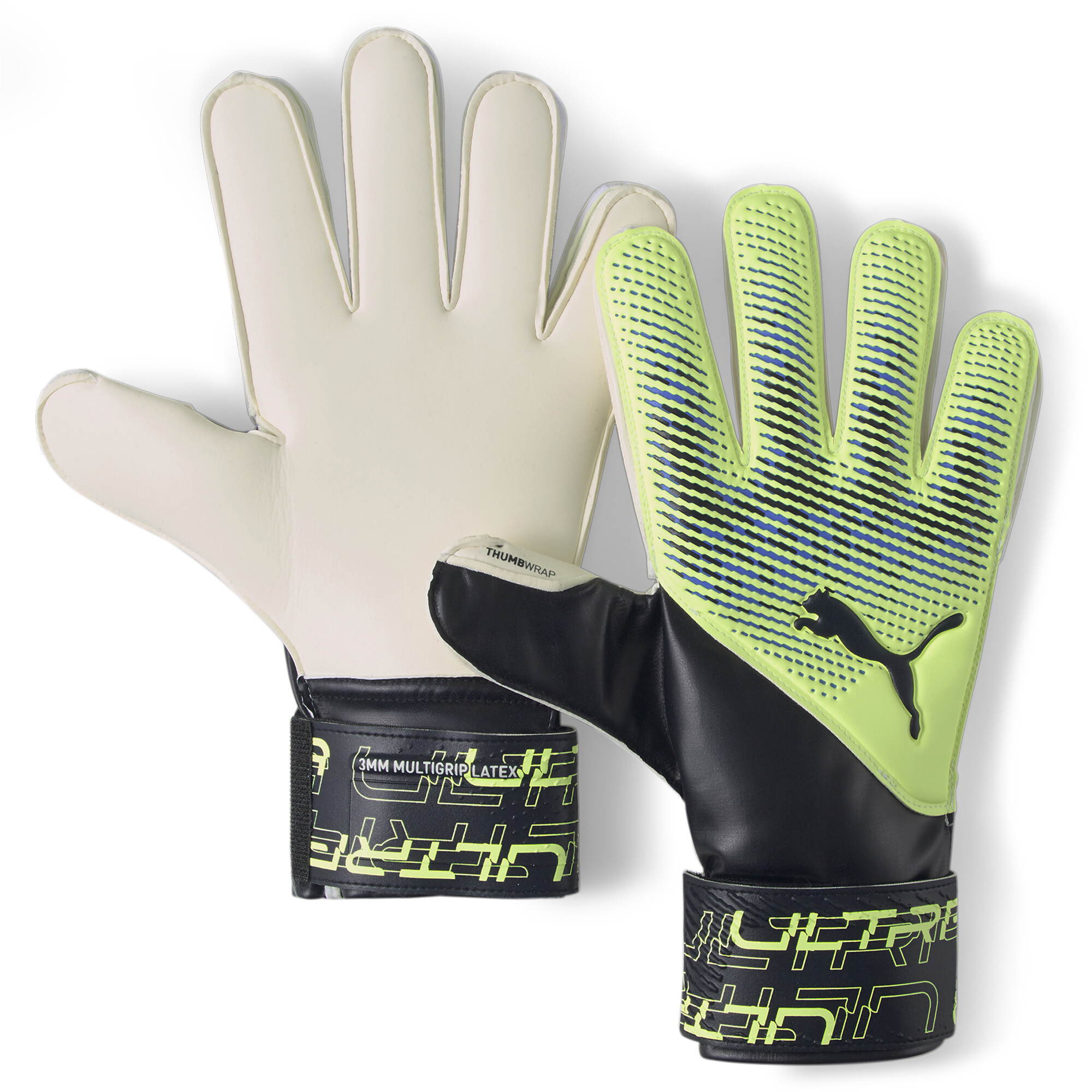 Puma bmw gloves sale