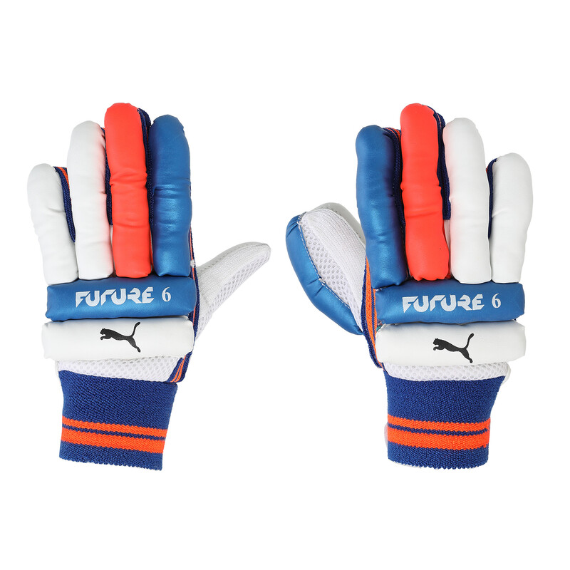 

Men's PUMA Future 6 Cricket Batting Gloves, Black/blue