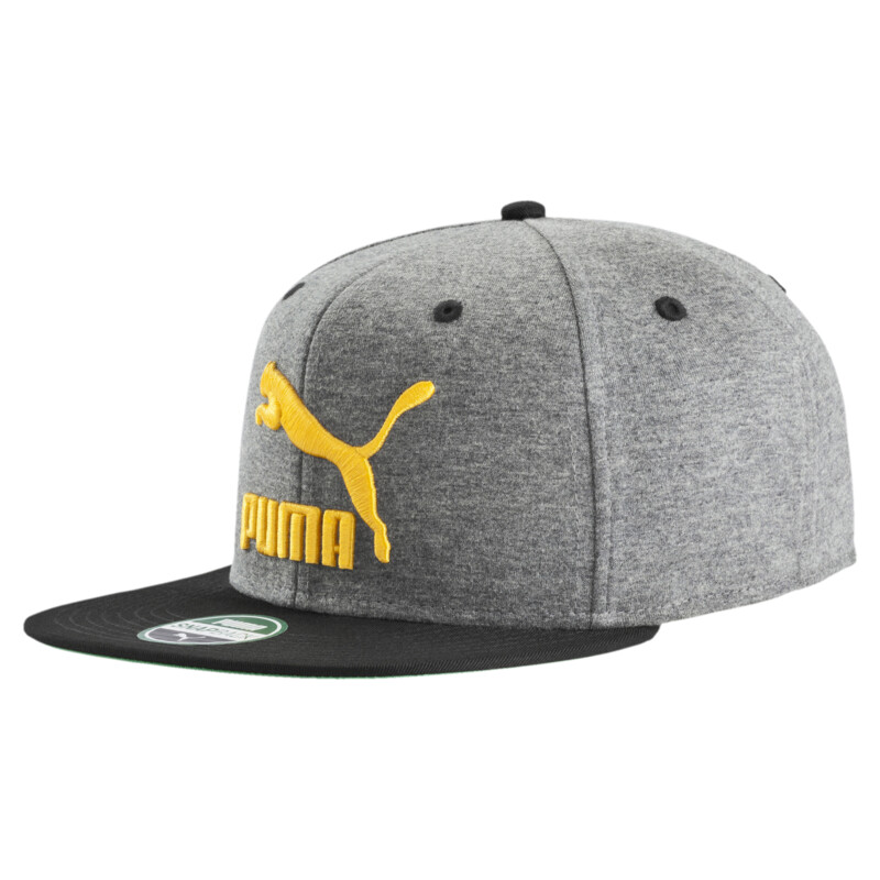 

PUMA Lifestyle ColourBlock Cap