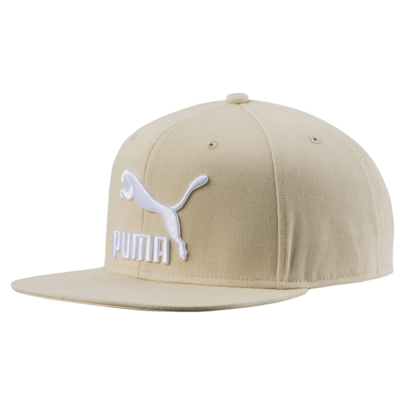 

PUMA Lifestyle ColourBlock Cap