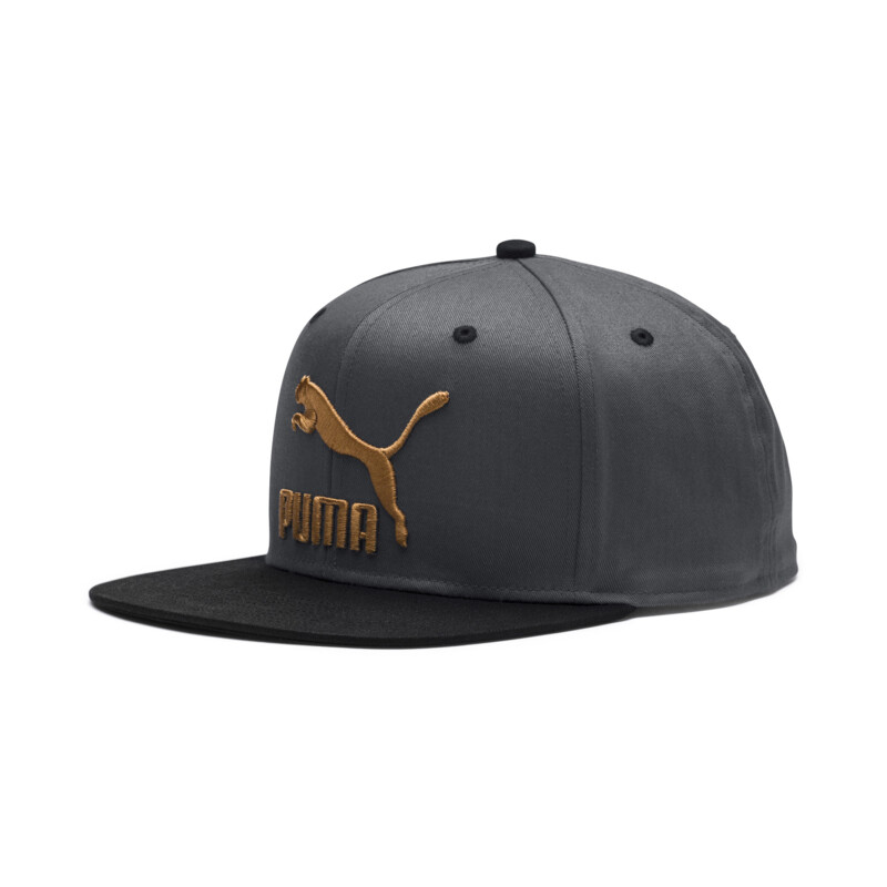 

PUMA Lifestyle ColourBlock Cap