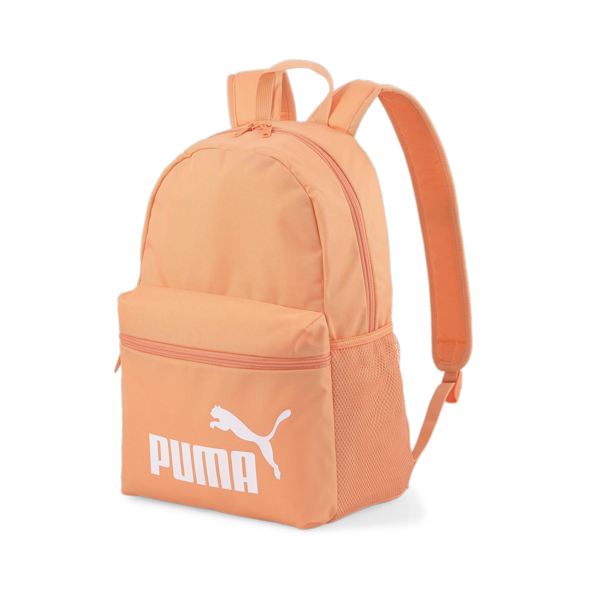 puma bags