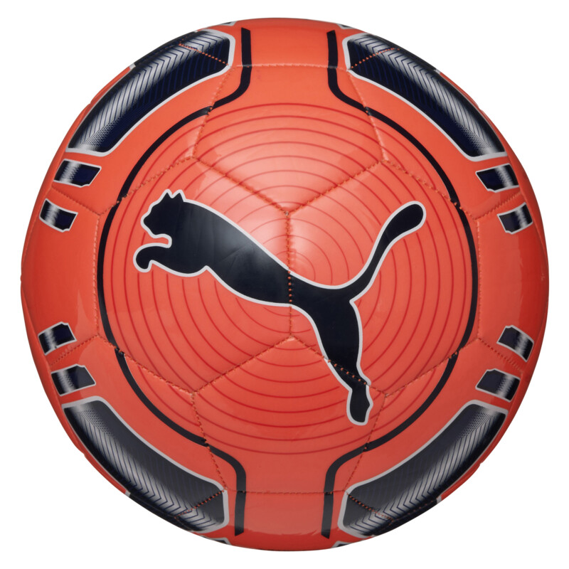 PUMA evoPOWER 6 Trainer Football
