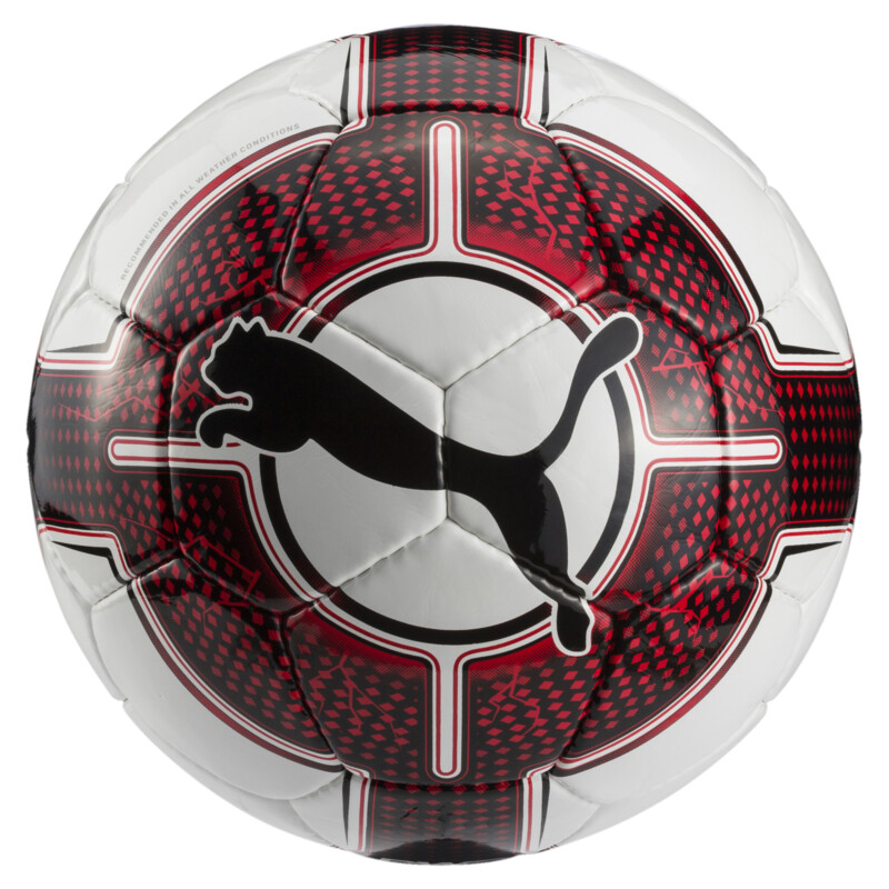 

PUMA evoPOWER 5.3 Trainer Football