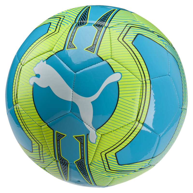 

PUMA evoPOWER 6.3 Trainer Football