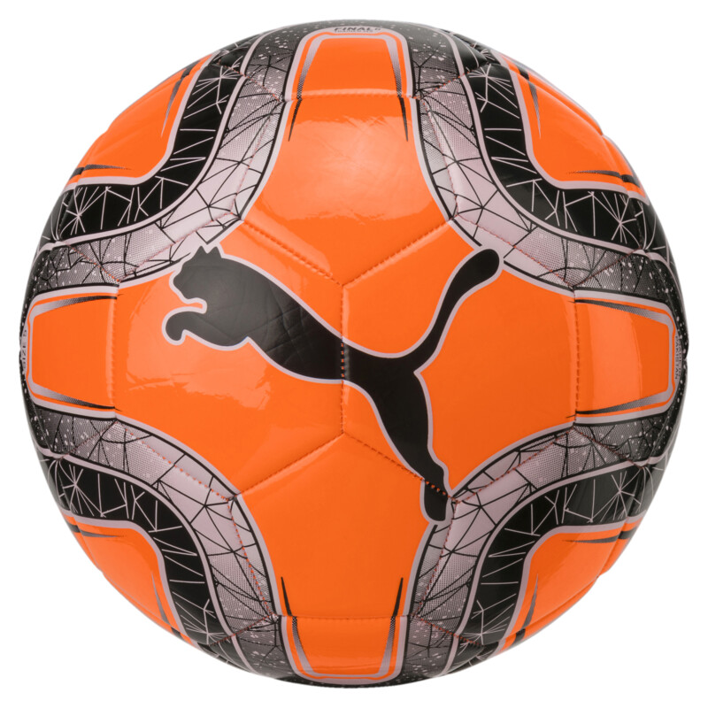 

PUMA FINAL 6 MS Training Football