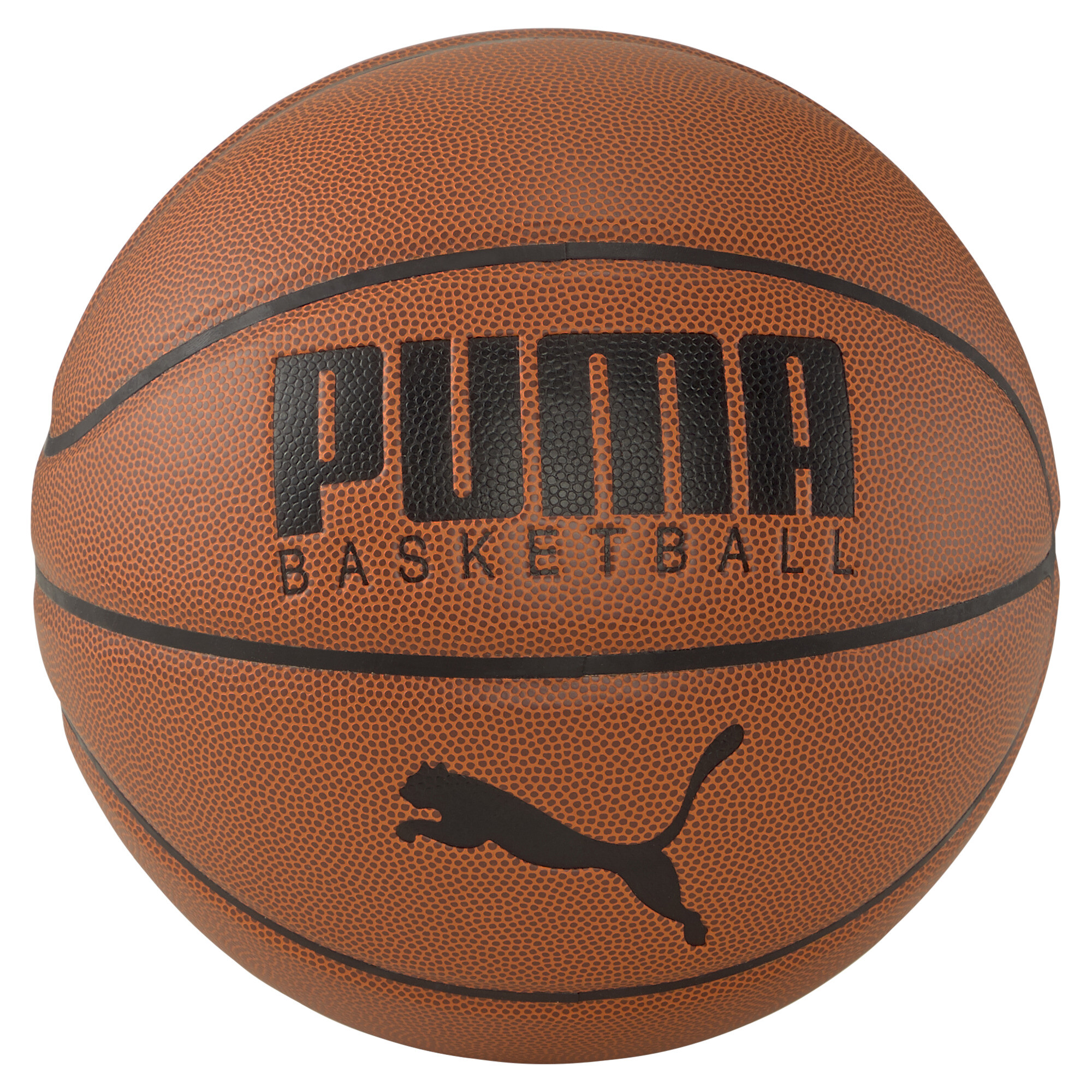 PUMA Basketball in Brown, Size 7