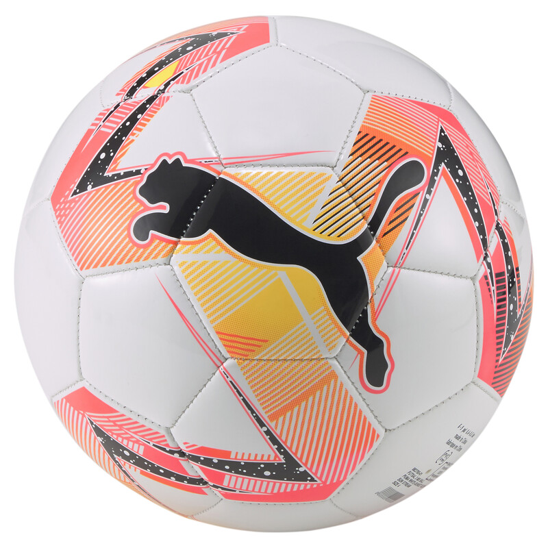 

PUMA Futsal 3 MS Football