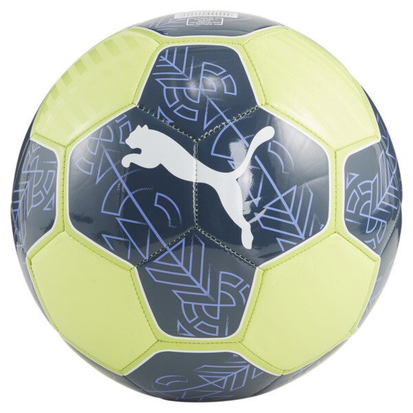 Pelota puma evospeed top