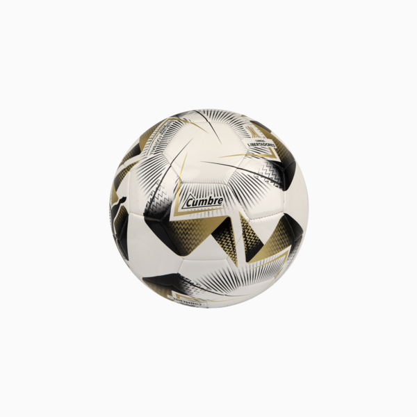 Minipelota Cumbre CONlibertadores, PUMA White-PUMA Gold, large-ARG