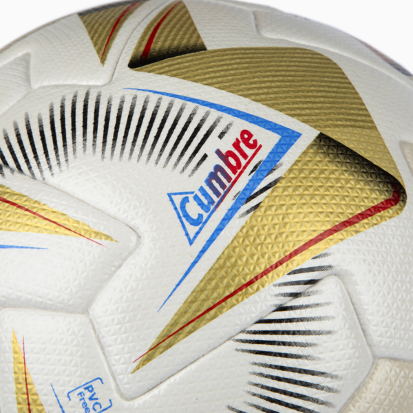 Pelota CUMBRE Copa America FIFA Pro, PUMA White-PUMA Gold, large-ARG