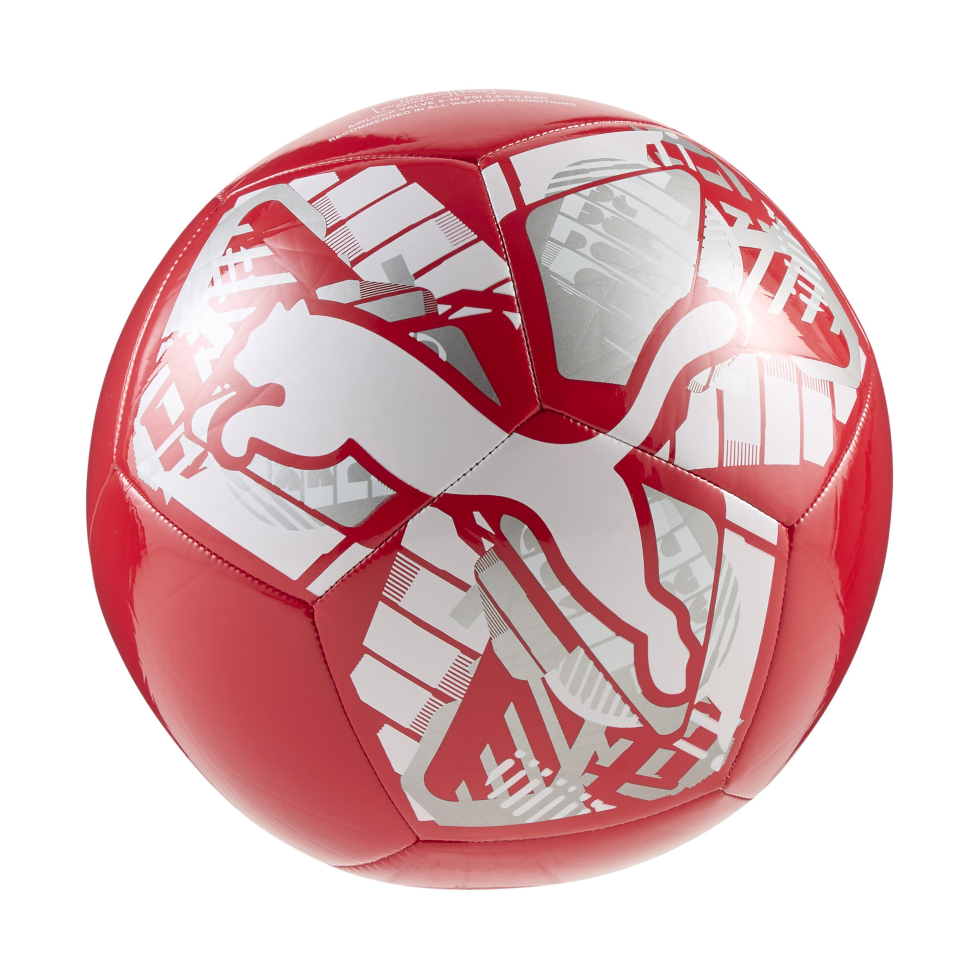 Pelota de fútbol PUMA Big Cat