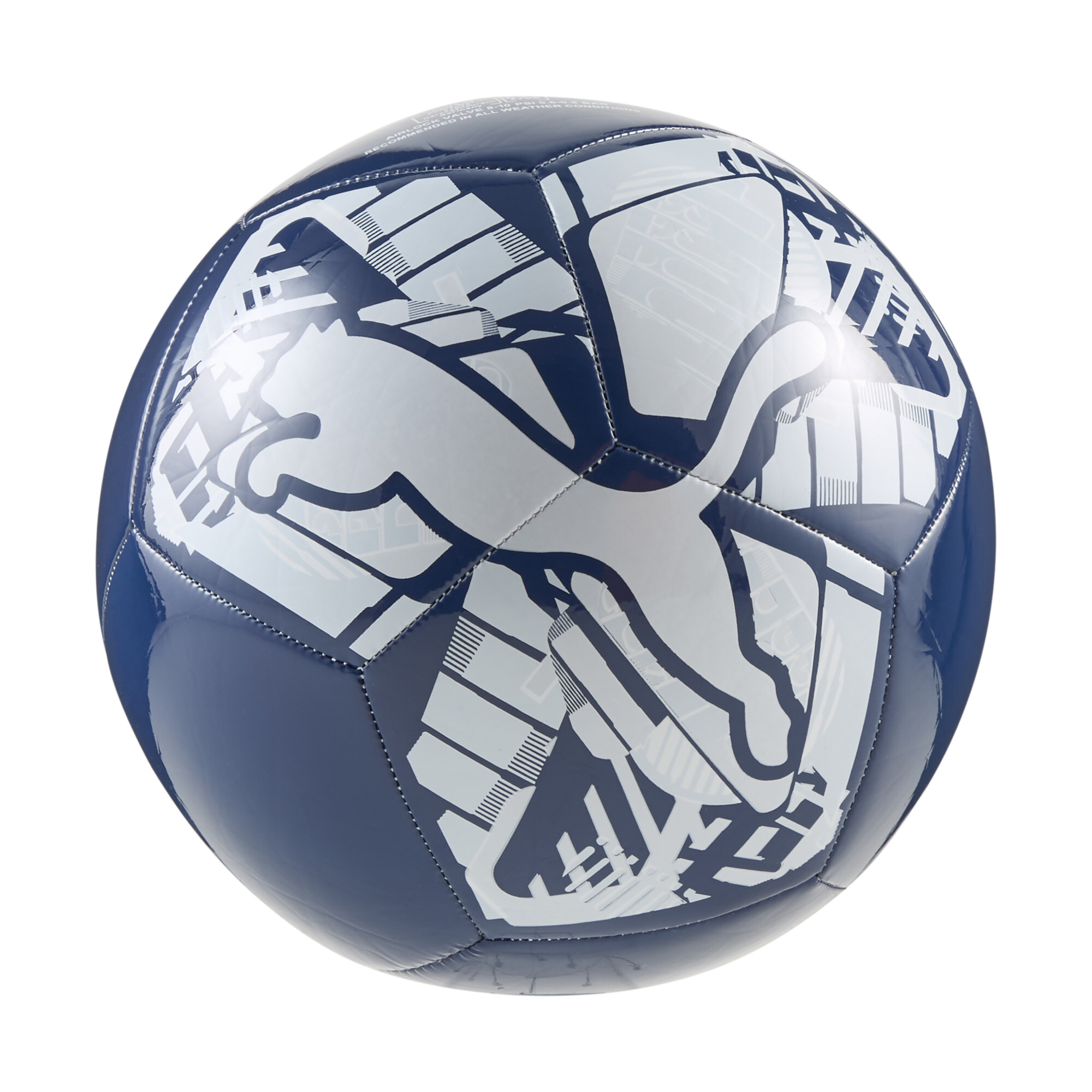 Pelota de fútbol PUMA Big Cat