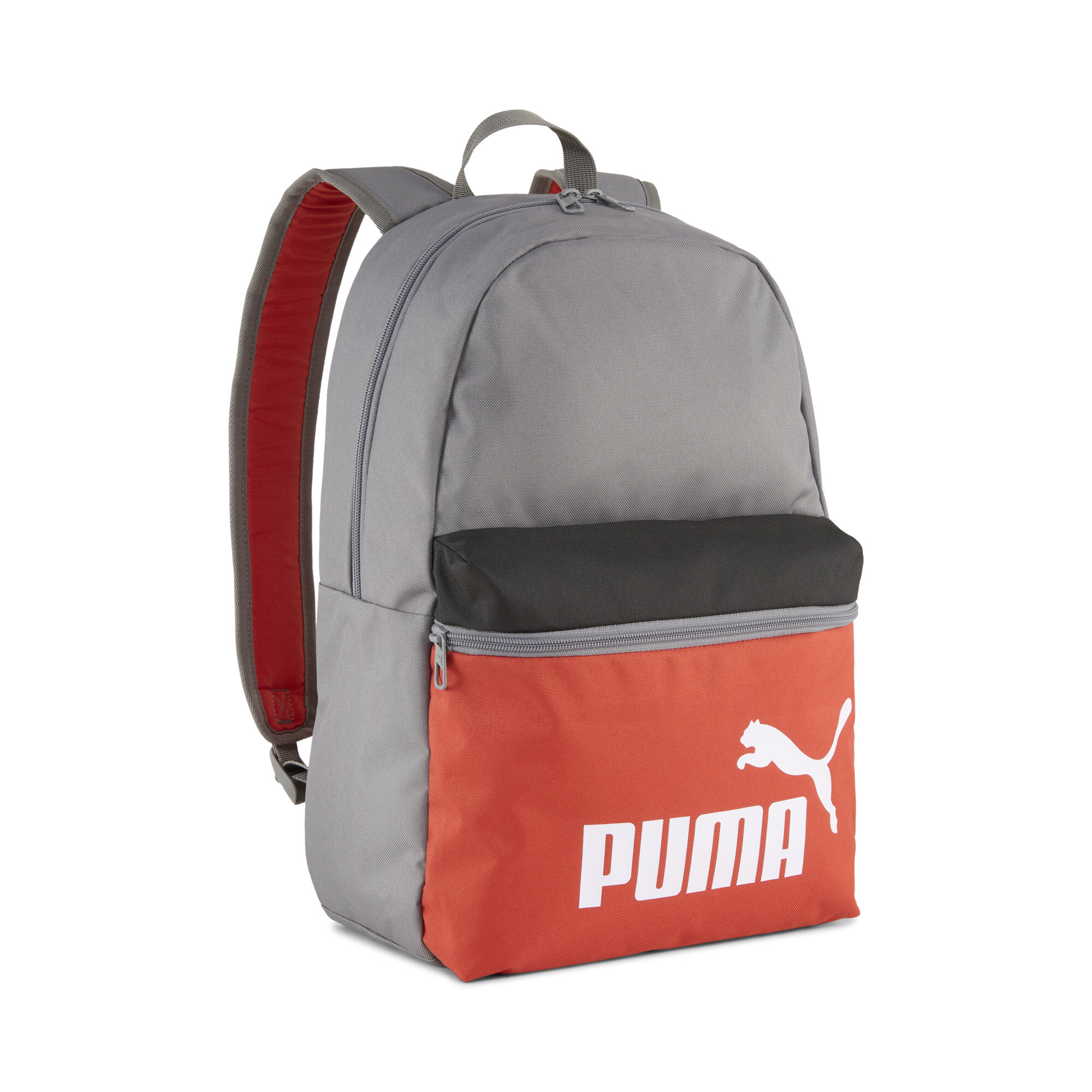 Puma Phase Rucksack mit Colour-Blocking | Mit Color Blocking | Cast Iron/Colorblock