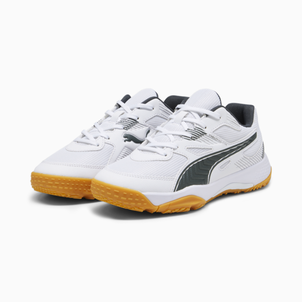 Solarflash II Indoor Sports Shoes Youth, PUMA White-Shadow Gray-Gum, large-ZAF