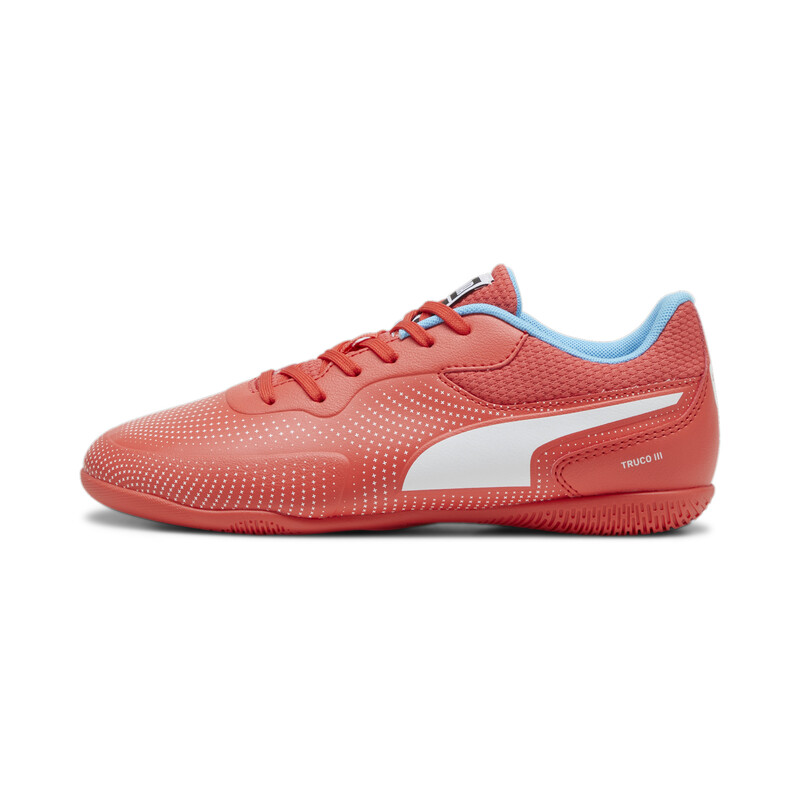 

PUMA TRUCO III Youth Indoor Sports Shoes