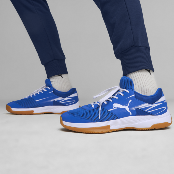 Varion II Handball Shoes, PUMA Team Royal-PUMA White-Gum, large-ZAF