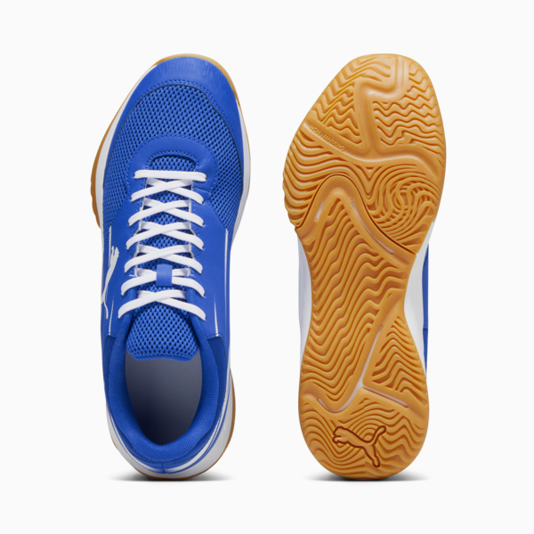 Varion II Handball Shoes, PUMA Team Royal-PUMA White-Gum, large-ZAF