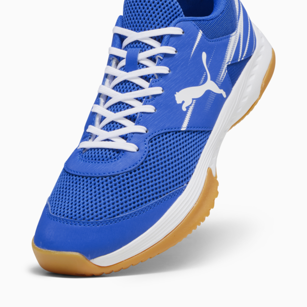 Varion II Handball Shoes, PUMA Team Royal-PUMA White-Gum, large-ZAF