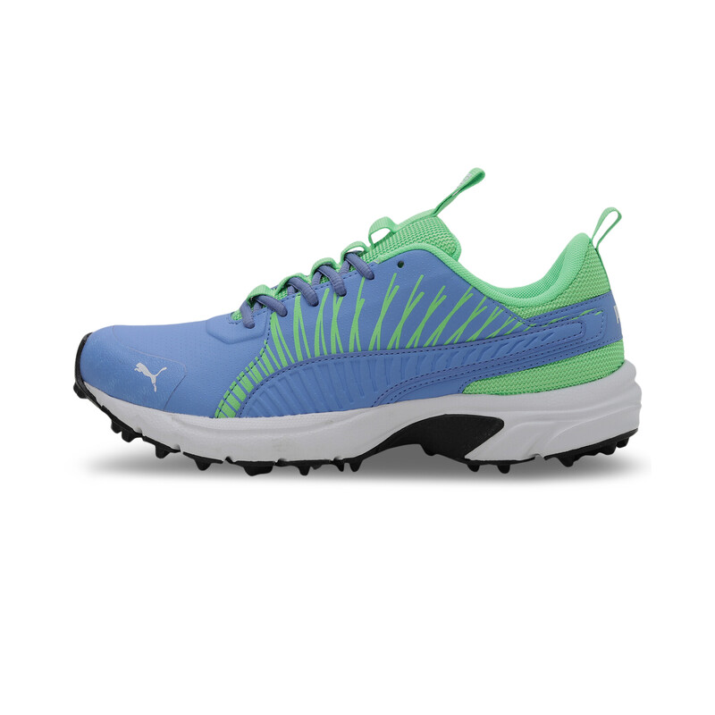 Men's PUMA Cricket Square Shoes