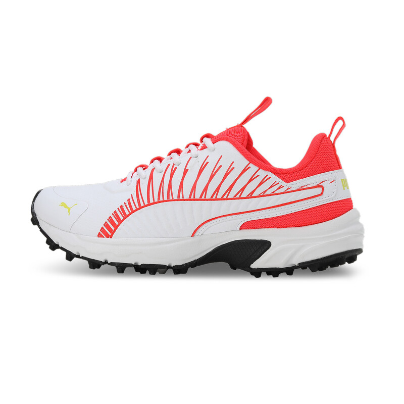 Men's PUMA Cricket Square Shoes