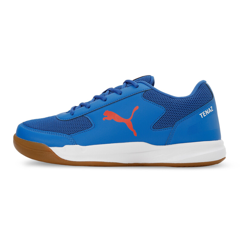 PUMA Ad-Court Indoor Sports Shoes