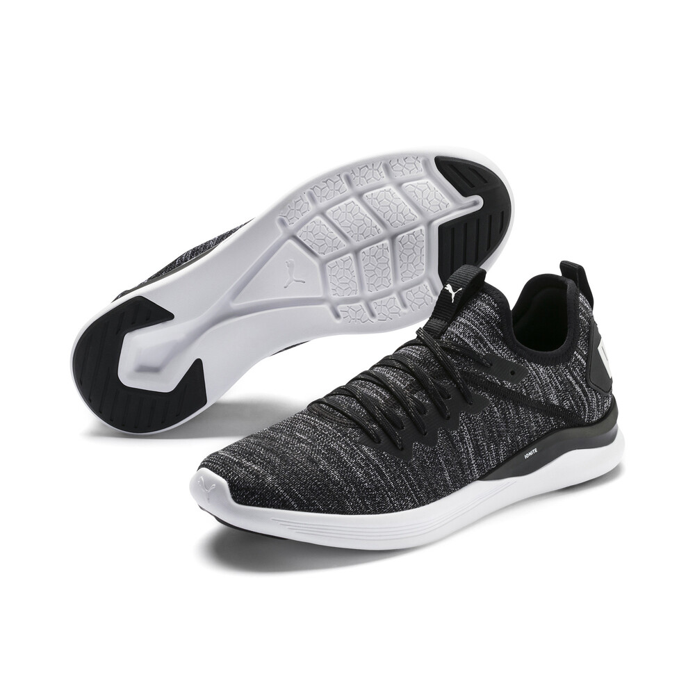 puma ignite flash geo