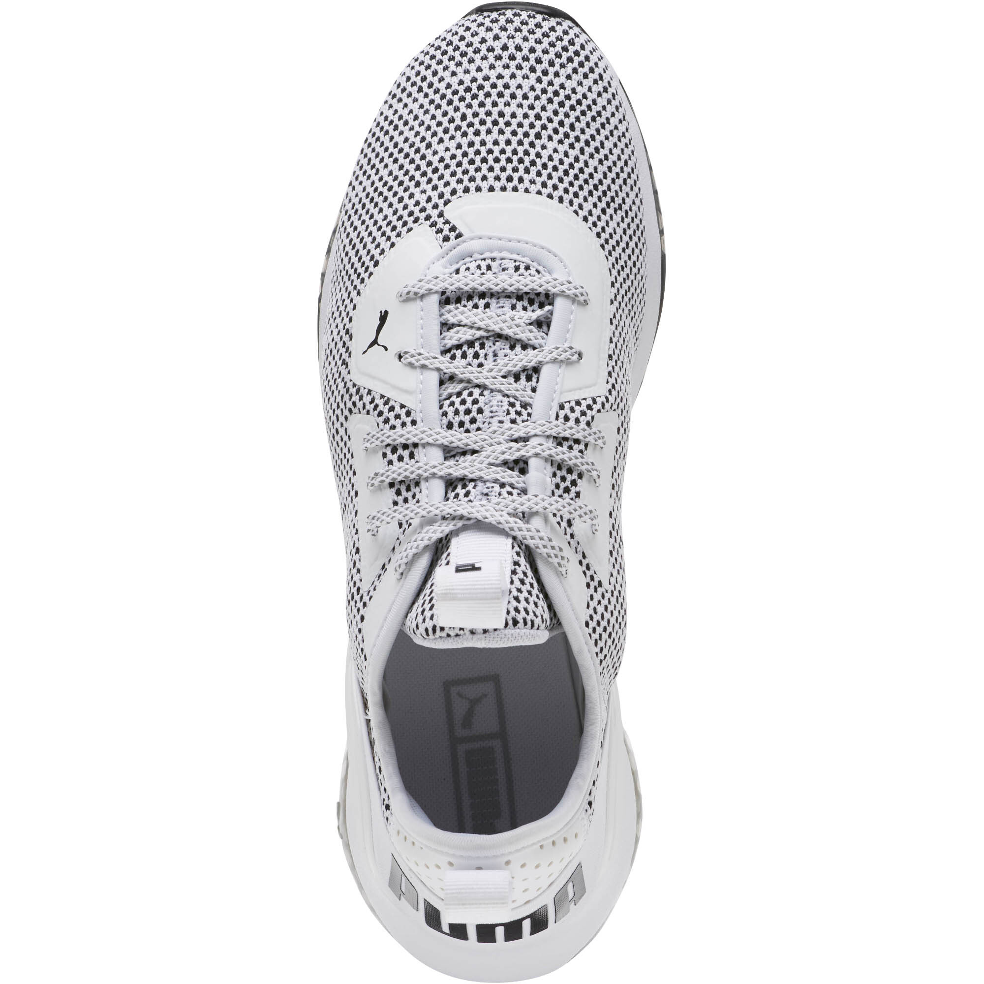 puma cell ultimate descend northern lights