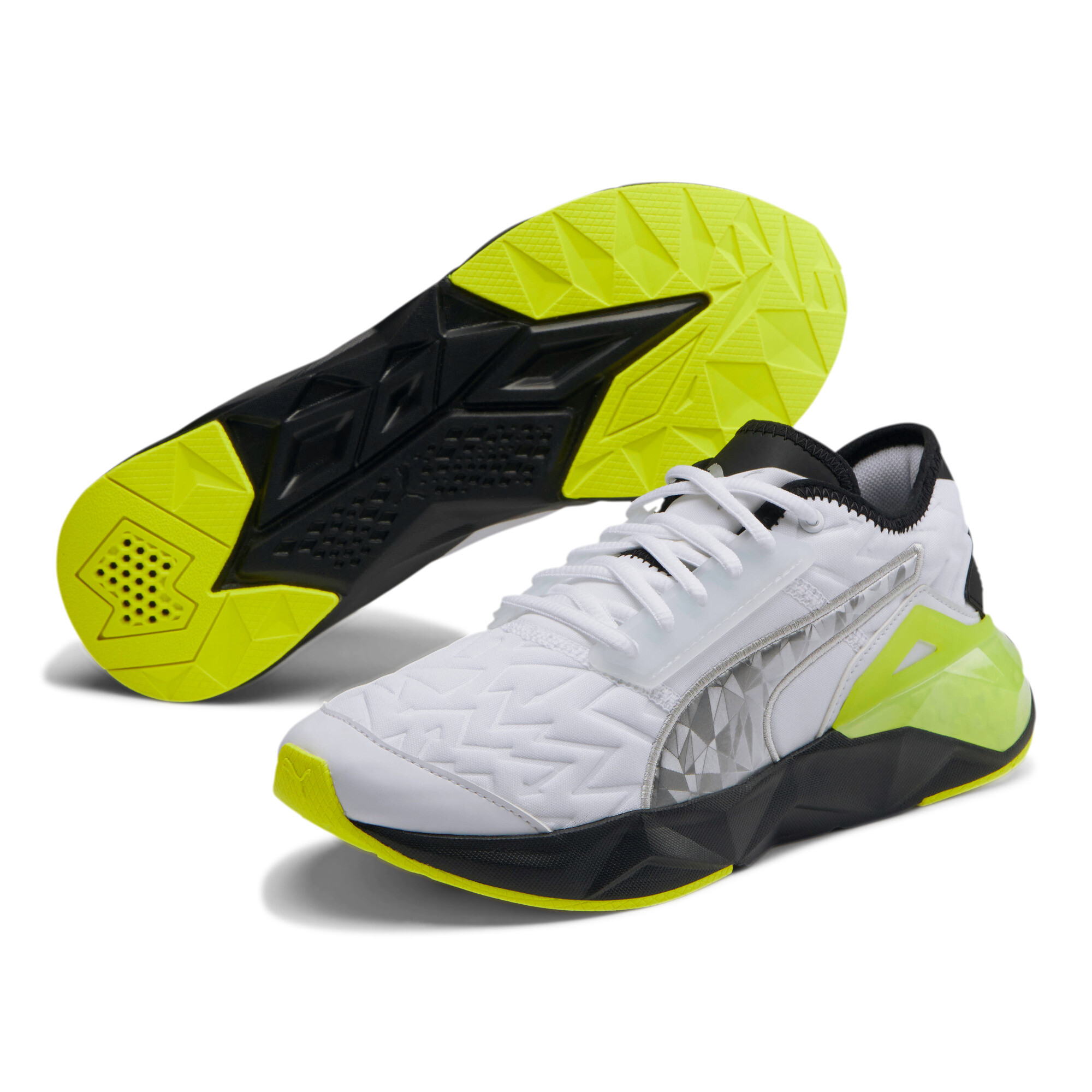 cell plasmic puma cell plasmic puma