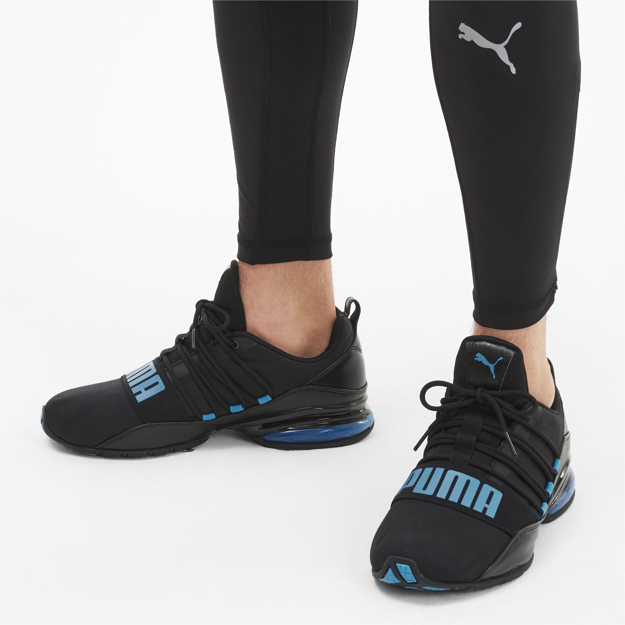 puma cell regulate winterized