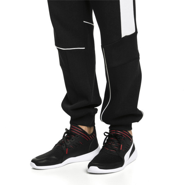 puma evo cat