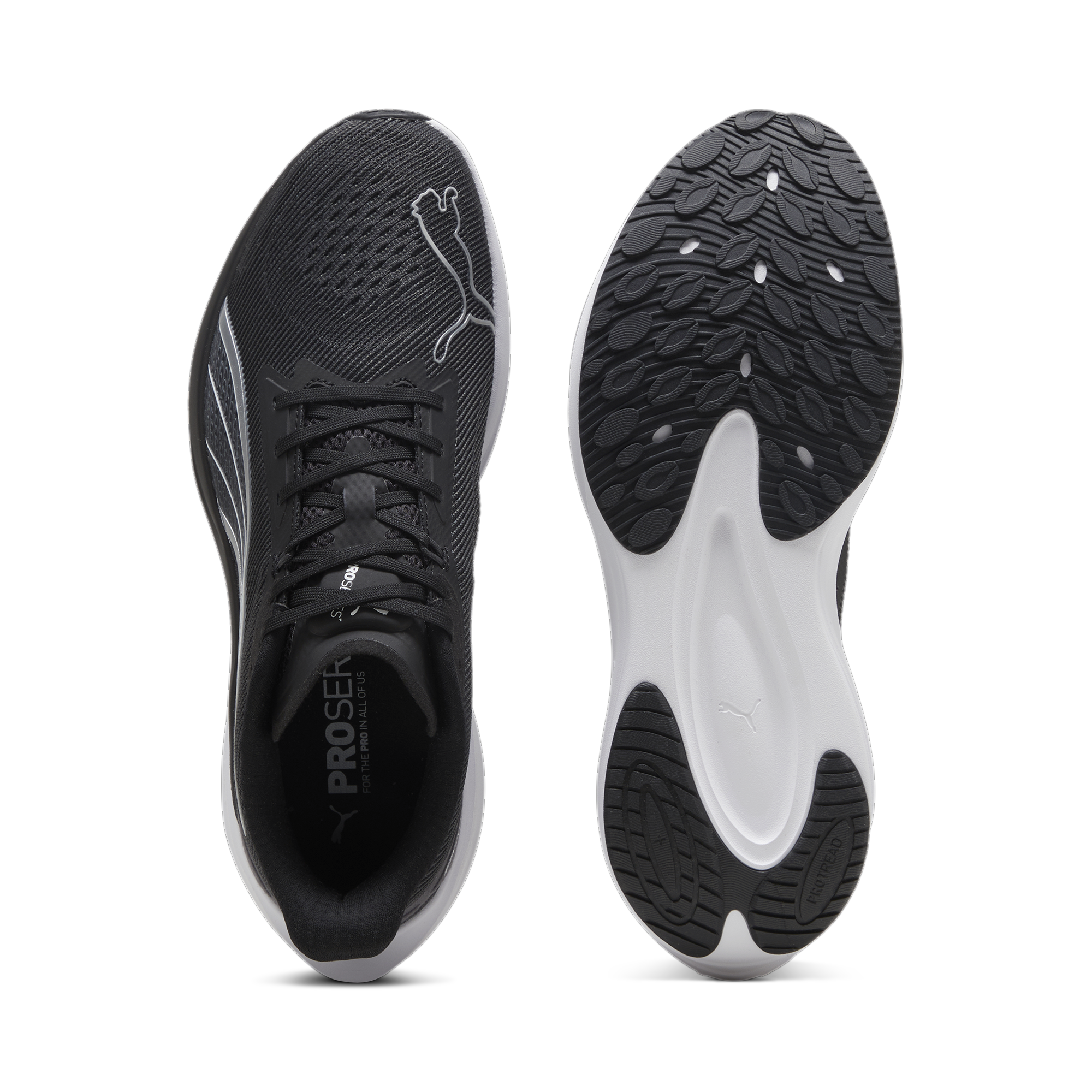 新政　A type PUMA