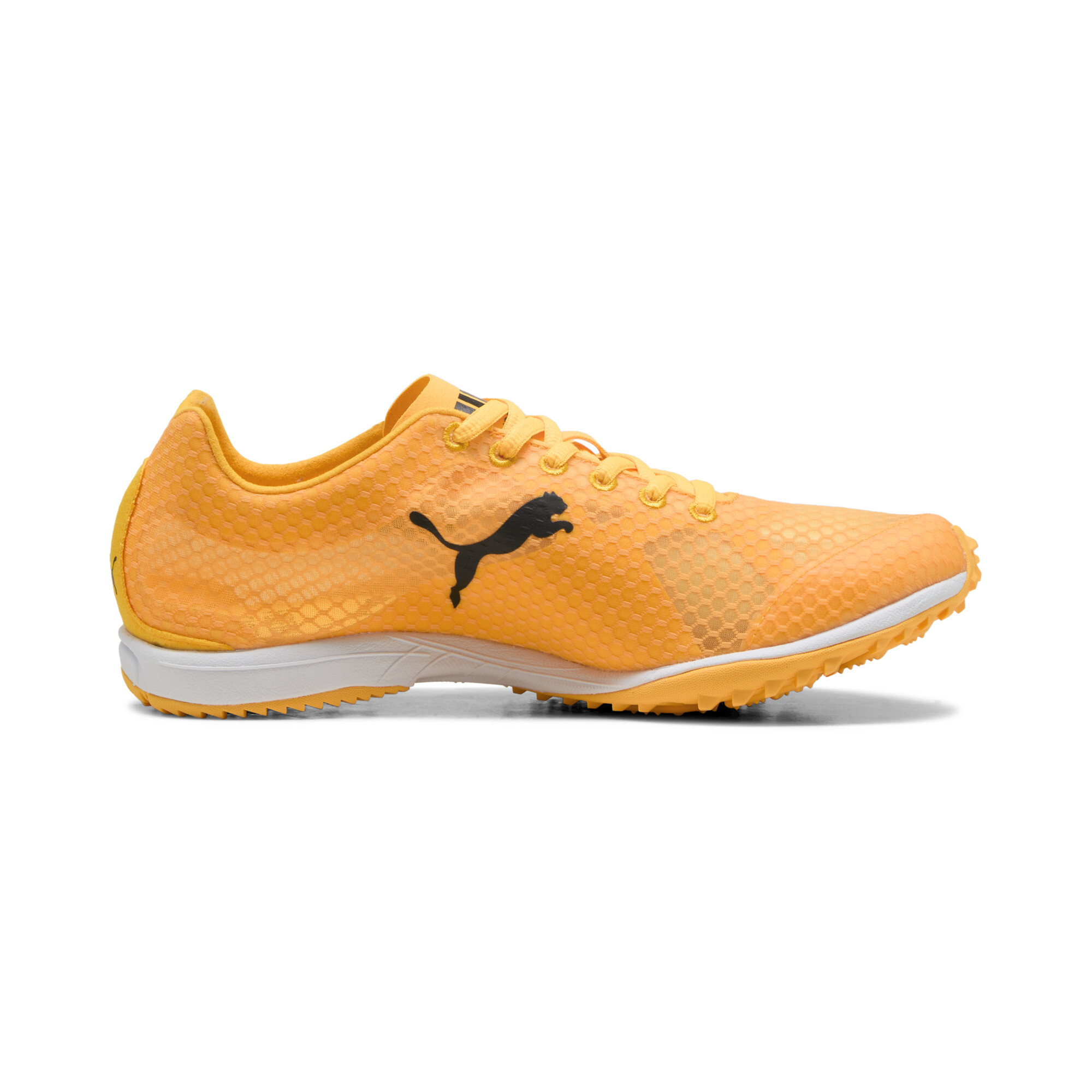 Puma Evo SPEED Haraka 8 Unisex Spikeless Running Shoes, Orange, Size 42, Shoes